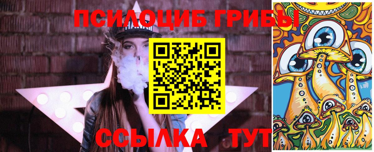 Псилоцибиновые грибы мицелий  цены наркотик  Мурино  Вход с VPN 